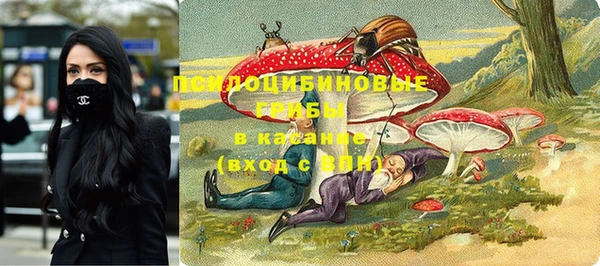 мет Горняк