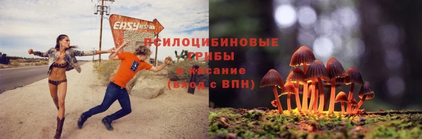 мет Горняк