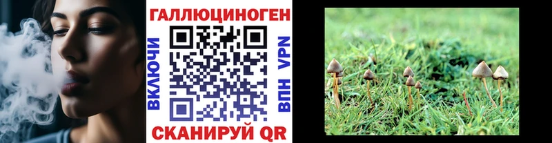 закладки  Дятьково  blacksprut как войти  Псилоцибиновые грибы Cubensis 