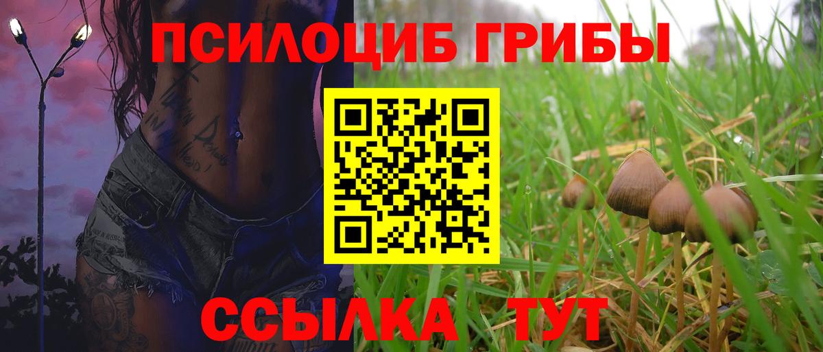 Псилоцибиновые грибы Psilocybe  Вход с VPN  Дятьково 